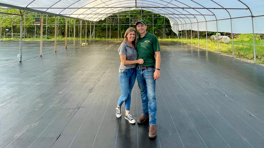 We're Bringing This Greenhouse Back To Life!