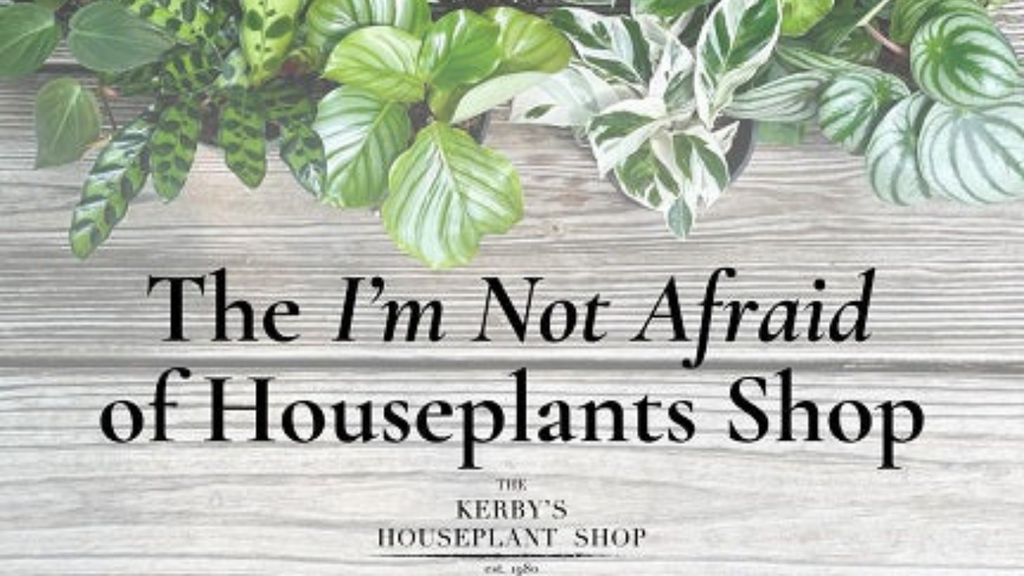 The Kerby's Houseplant Shop Is Here For You!
